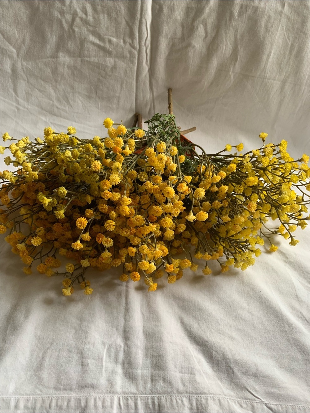 NWT Bundle of 8, 11 in Ashland Yellow Gypsophila Flowers